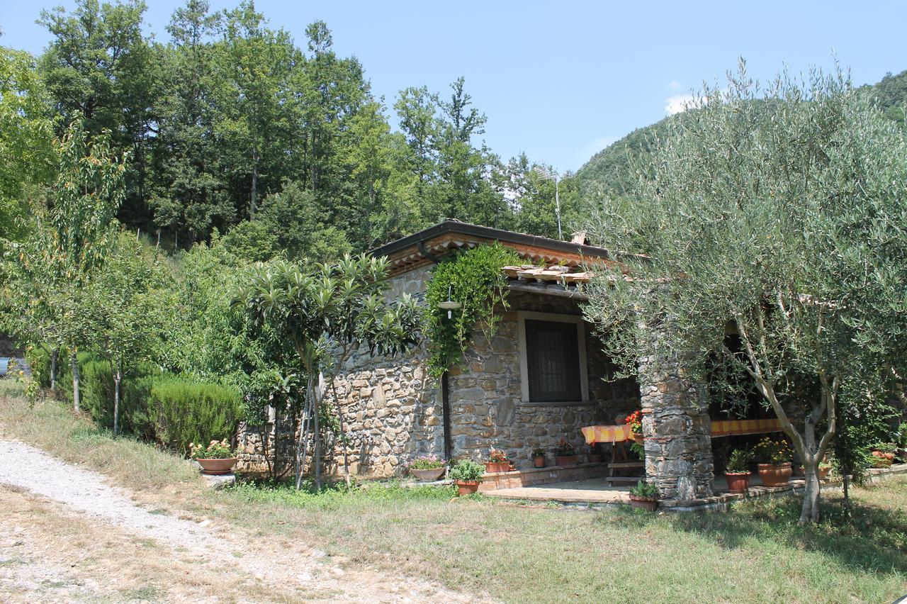 Case Vacanza S. Nicola Viggianello Exterior photo